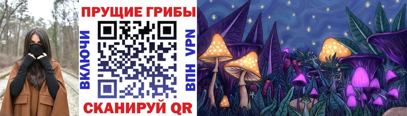 Галлюциногенные грибы прущие грибы  Купить  Гурьевск 