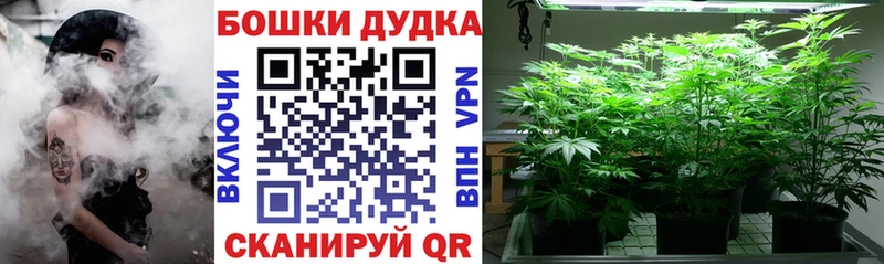 Шишки марихуана индика  Купить закладки  Гурьевск 